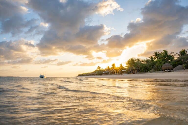 Beautiful Mozambique beach at sunset with palm trees and clouds.