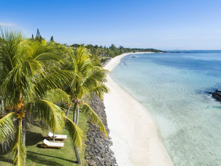 Beautiful Mauritian beach with palm trees and clear blue water.