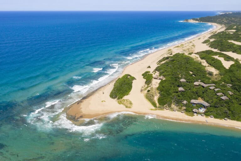 Beautiful Mozambique beach with clear blue waters and lush green surroundings.