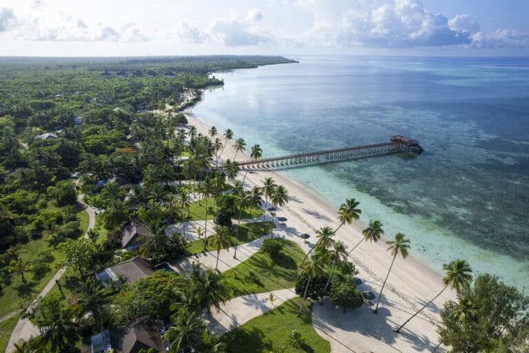 Scenic view of Zanzibar beach with pier and lush greenery.