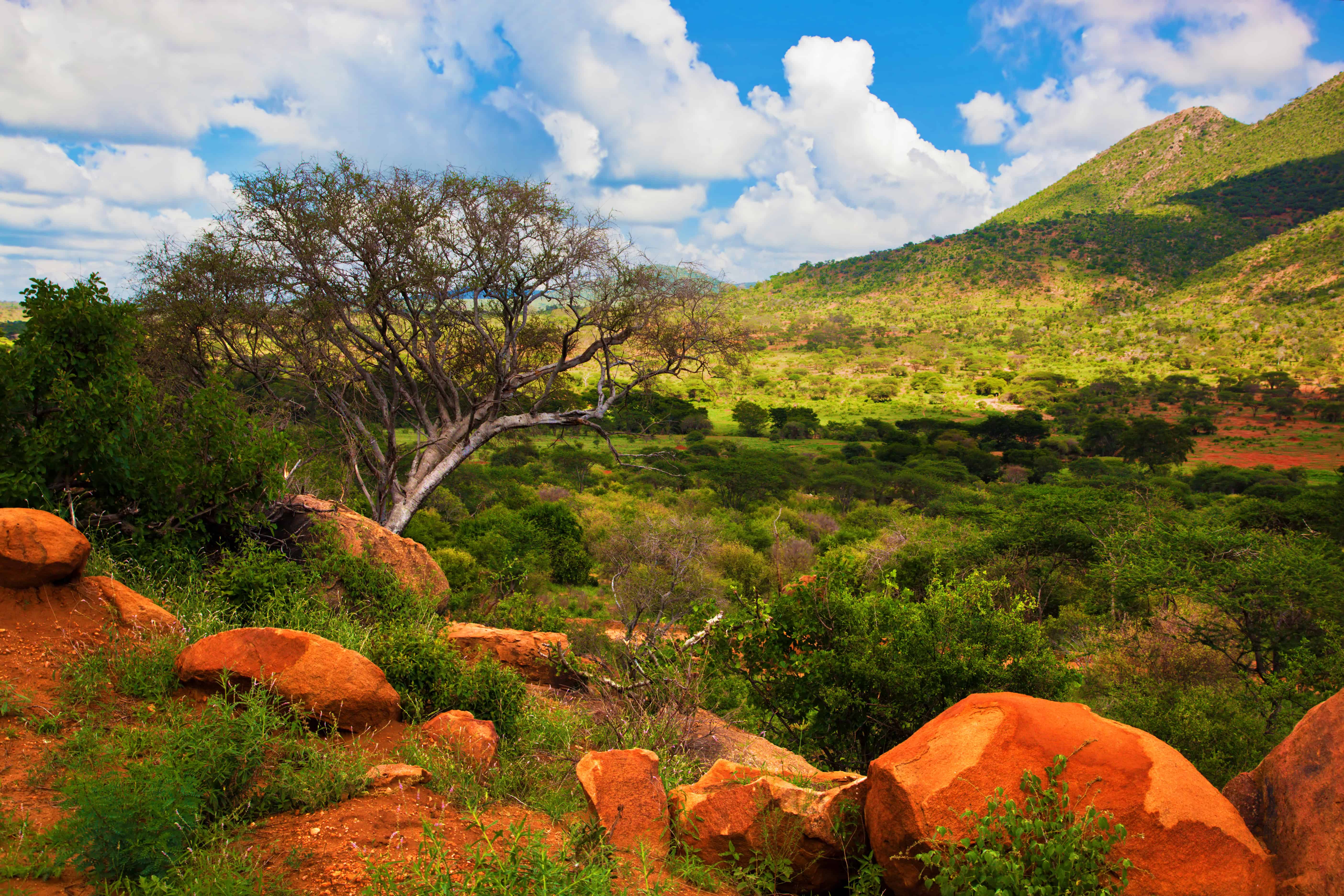 Must-do Romantic Activities for Couples in Madagascar 