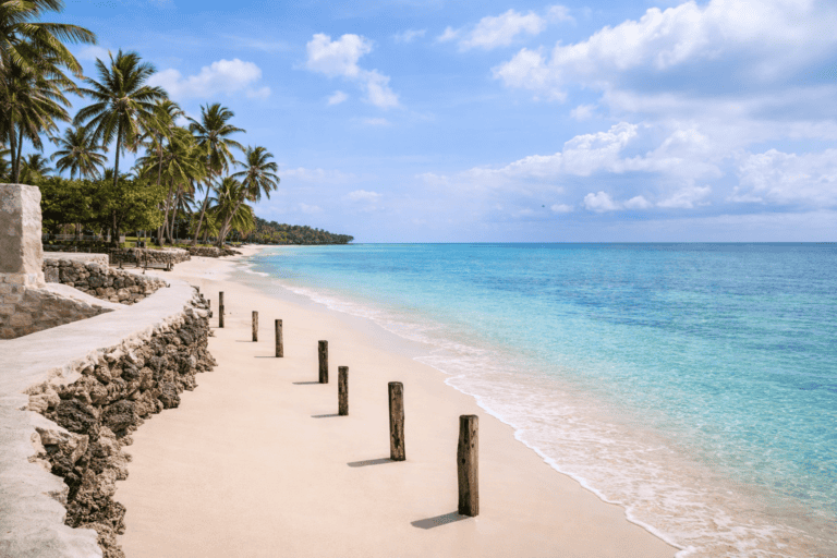 Beautiful tropical beach with palm trees, white sand, and turquoise water under a blue sky.